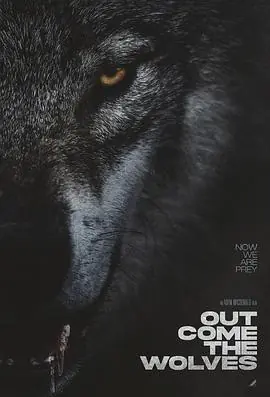 狼群出动OutCometheWolves海报