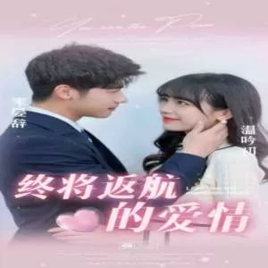 终将返航的爱情海报