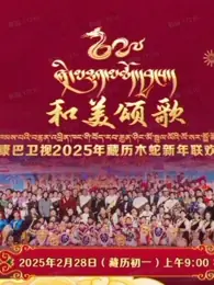 2025藏历木蛇新年联欢晚会海报
