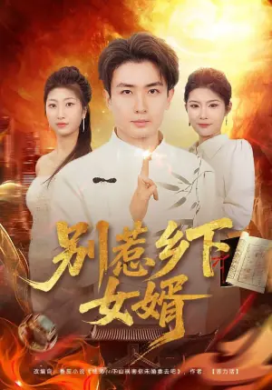 别惹乡下女婿海报