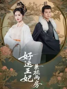 好运王妃兼祧两房海报