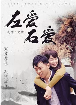 左爱右爱海报