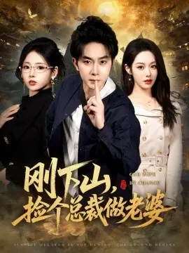 刚下山捡个总裁做老婆海报