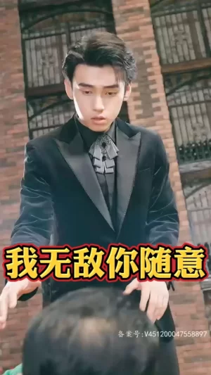 我无敌,你随意海报