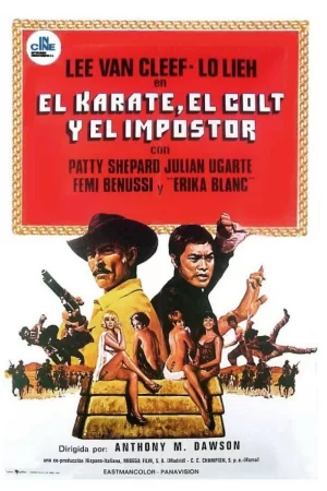 龙虎走天涯海报