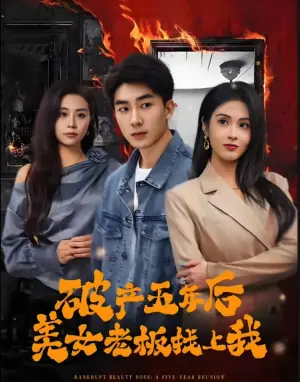 破产五年后,美女老板找上我海报