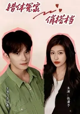 错体冤家俏搭档海报