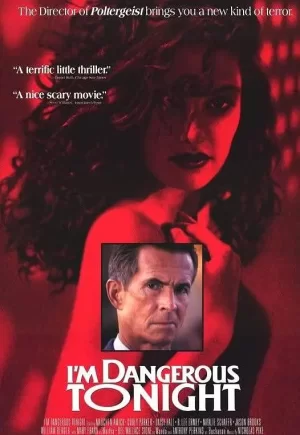 我的危险夜海报