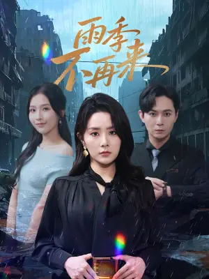 雨季不再来海报