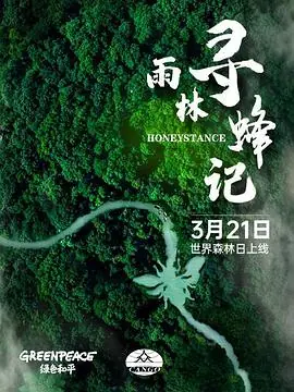 雨林寻蜂记海报
