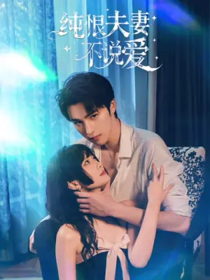 纯恨夫妻不说爱海报