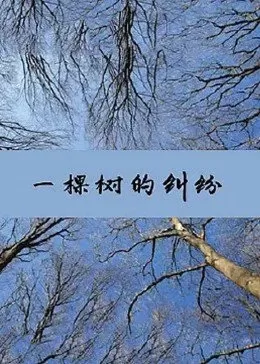 一棵树的纠纷海报