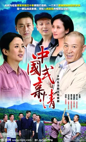 中国式亲情海报