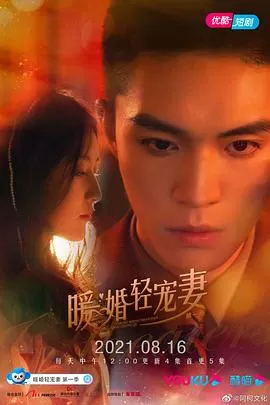 暖婚轻宠妻第一季海报