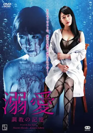 溺爱:调教记忆海报