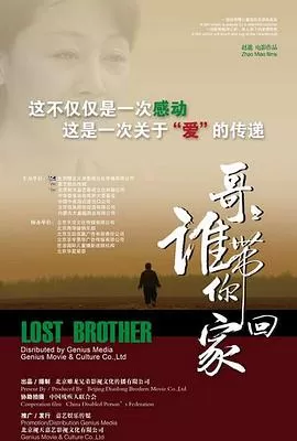 哥哥,谁带你回家海报