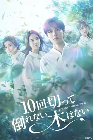 没有砍十次还不倒的树海报