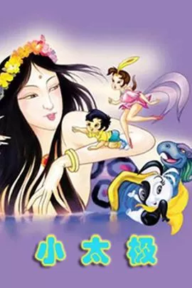 小太极海报