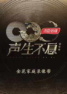 声生不息·家年华金花家庭录像带海报