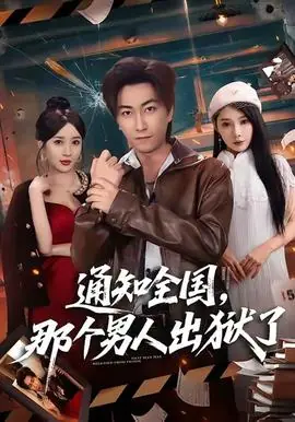 通知全国那个男人出狱了海报