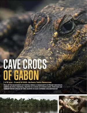 加蓬的洞穴鳄鱼海报