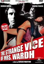 妻子的罪恶海报