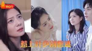 惹上叶少别想逃海报