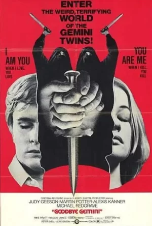 再见双子宫海报