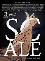 失控的尺度海报