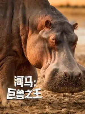 河马:巨兽之王海报