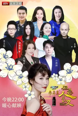 但愿人长久海报