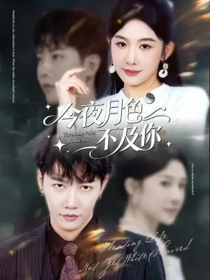 今夜月色不及你海报