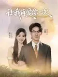 让我再爱你一次海报