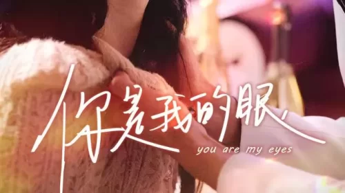你是我的眼海报