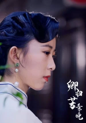 卿归芳意晚海报