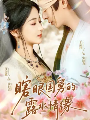 瞎眼国舅的露水情缘海报