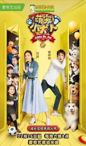 萌宠小大人海报