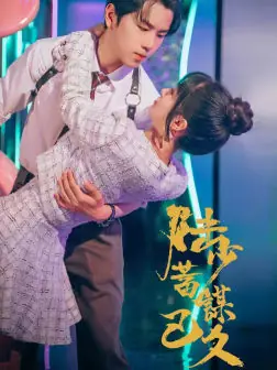 陆少蓄谋已久海报