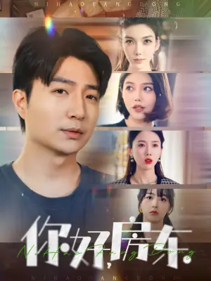 你好,房东海报