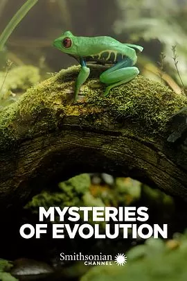 进化的秘密海报