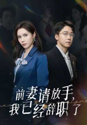 前妻请放手,我已经辞职了海报