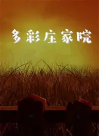 多彩庄家院海报