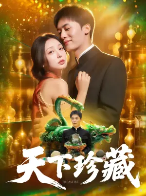 天下珍藏海报