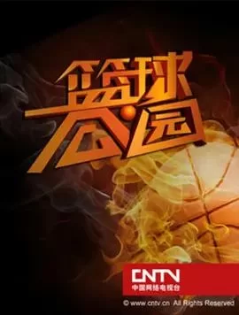 篮球公园2023海报