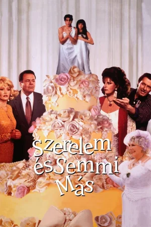 亲家人娘家人海报