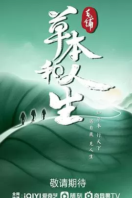 草本和人生海报