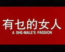 有乜的女人海报