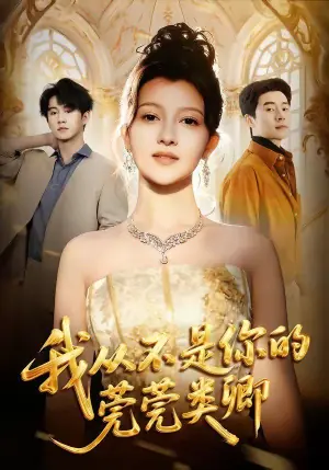 我从不是你的莞莞类卿海报