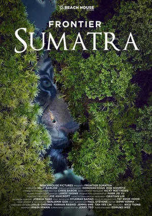 婆罗洲边境海报