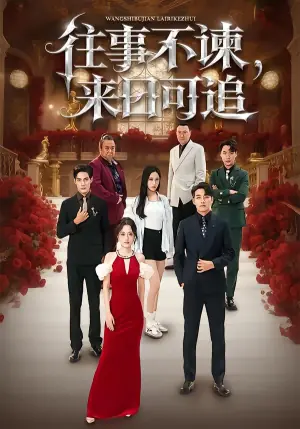 往事不谏,来日可追海报